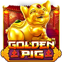 pp image
